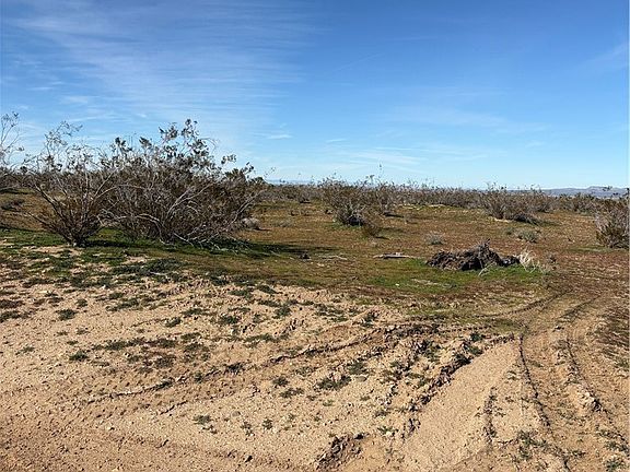 2nd image of 0 Olivine Rd