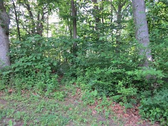 5th image of 28812 E River Bay Dr