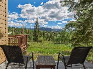 6726 Ryan Gulch Rd APT 6726, Silverthorne, CO 80498