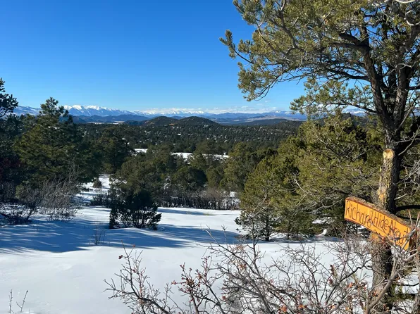 497 & 550 Bear Peak Rd, Westcliffe, CO 81252