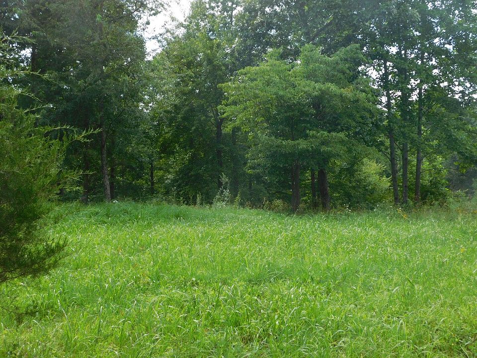 1st image of 155 Pioneer Dr