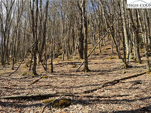 3rd image of 133 E Blueberry Lane