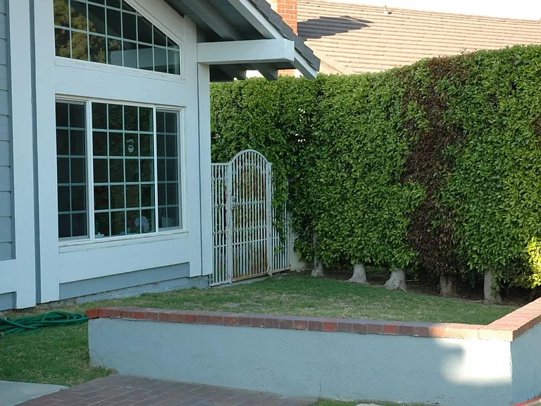 6374 E Paseo Celeste — Photo 117