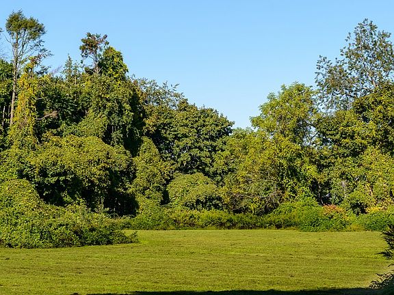 3rd image of 6195 Lot B Private Rd