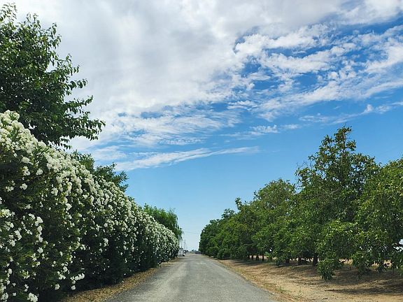 3rd image of 0 Sievers Road