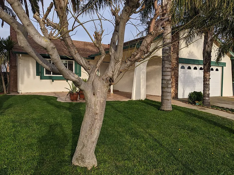 908 Labrador Way — Photo 8