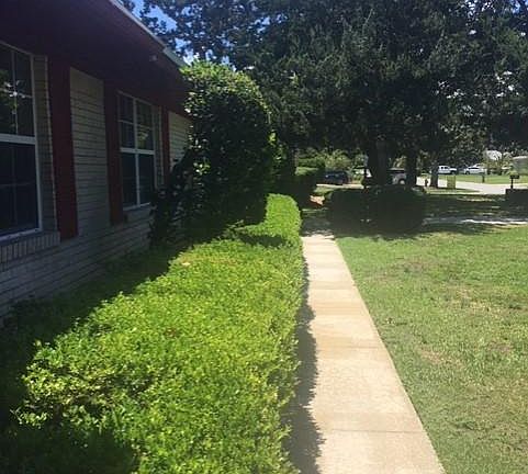 Sidewalk from front-door to driveway