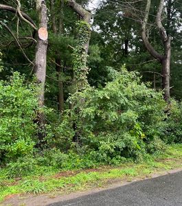 0 Roy St, Ludlow, MA, 01056