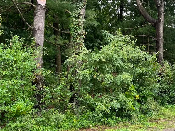 0 Roy St, Ludlow, MA 01056