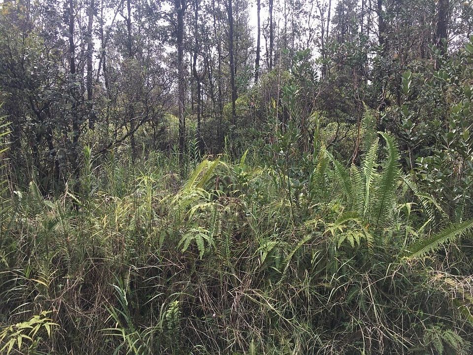 1st image of Road 11 Pulelehua Lot 6057
