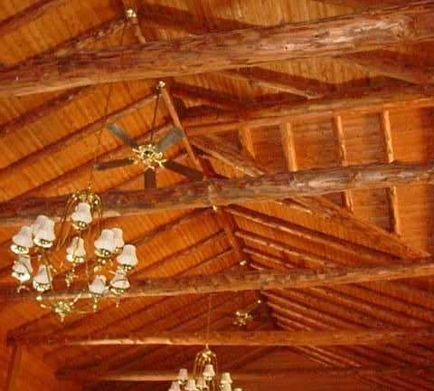 25ft beamed ceilings