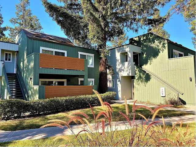 Avana San Jose — Photo 9