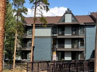 89200 Ryan Gulch Rd #208, Silverthorne, CO 80498