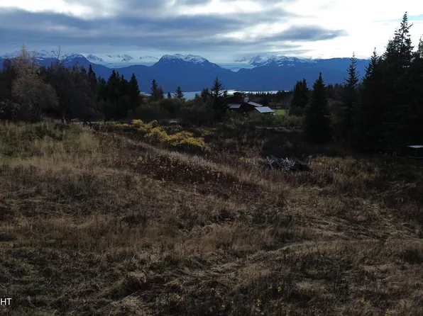 32760 Falls Creek Rd, Homer, AK 99603