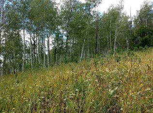 57875 Longfellow Way, Clark, CO 80428