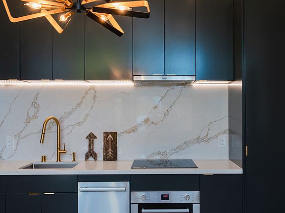 Dishwasher, cooktop, and oven - all Bosch.