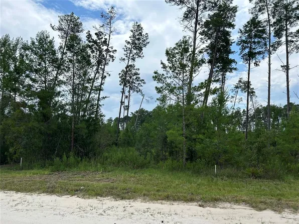 SE 58th Ln Lot 7, Morriston, FL 32668