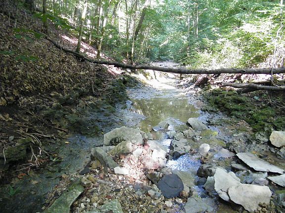 3rd image of 0 Tilford Ln
