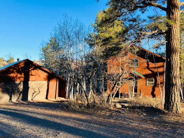 1466 Aspen Dr, Ridgway, CO 81432
