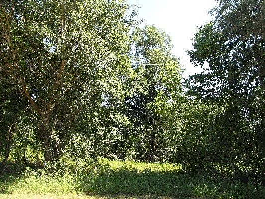 4th image of SE Indian Head Trl