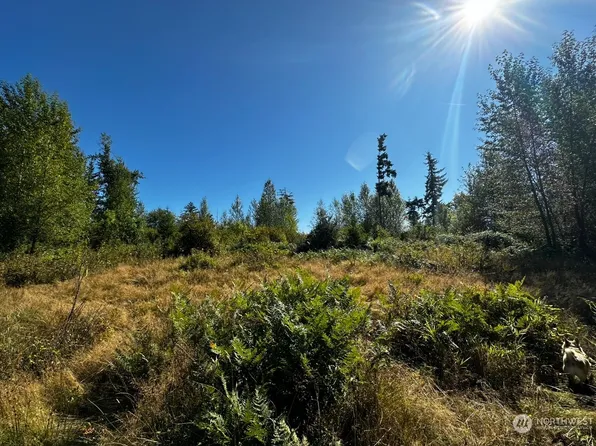 40903 80th Avenue E, Eatonville, WA 98328