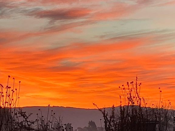 Lovely sunrise over Taylor Mountain. View from the Cottage Deck.