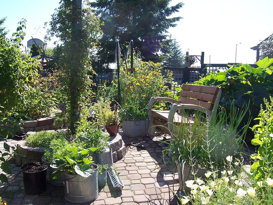 raised bed garden