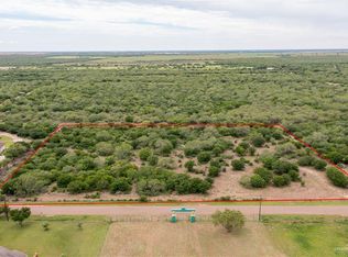 13001 Rojo Ave, Edinburg, TX 78542