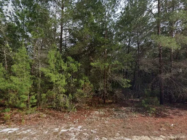 Theresa Ave #27, Interlachen, FL 32148