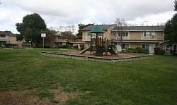 5th image of 460 Don Marco Ct
