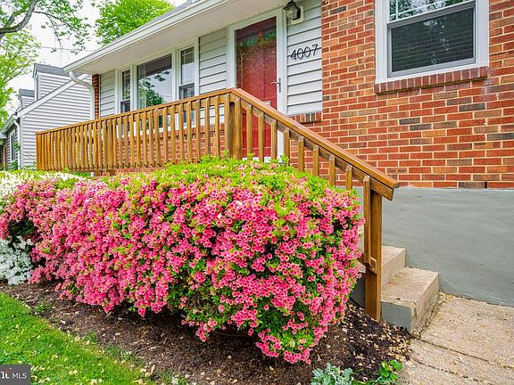 Beautiful azaleas to enjoy in Spring!