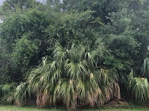 1997 SE South Buttonwood Drive, Port St Lucie, FL 34952