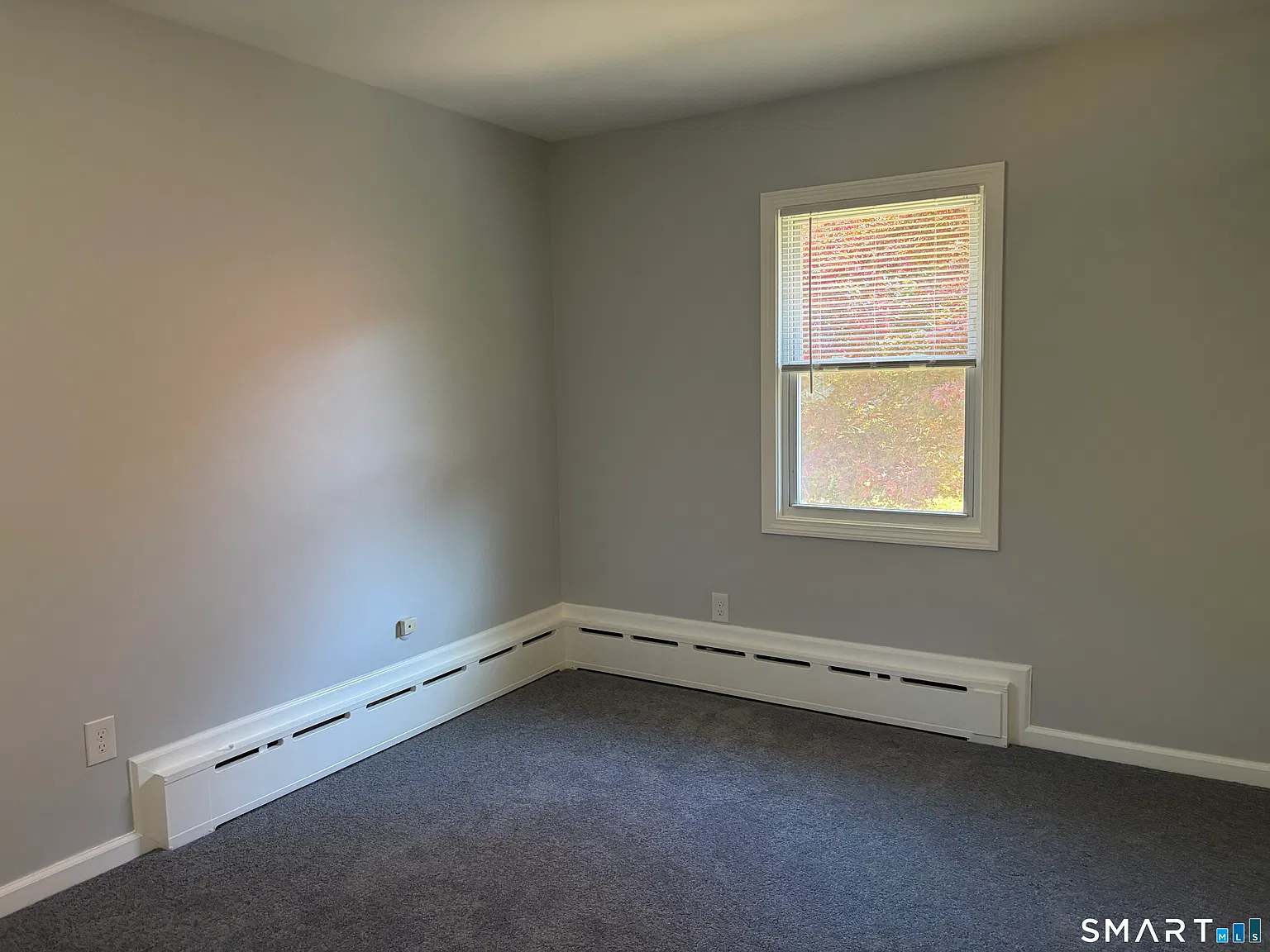2 bed, 1.0 bath, 804 sqft, $1,700 — Photo 3
