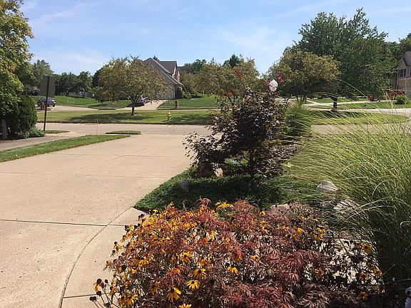 4th image of 4241 Pennywood Dr