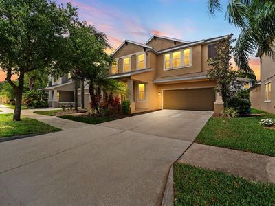 7029 Dowling Mill Cir, Tampa, FL, 33625