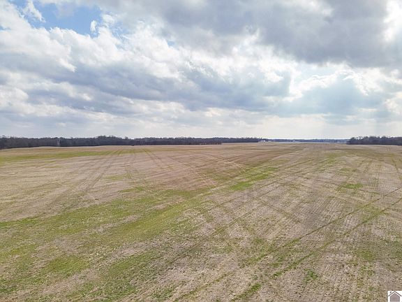 5th image of 11025 Old Highway 60