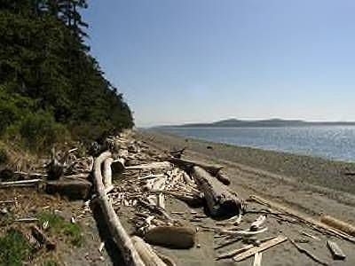 A beach walk communes with tides and birds.