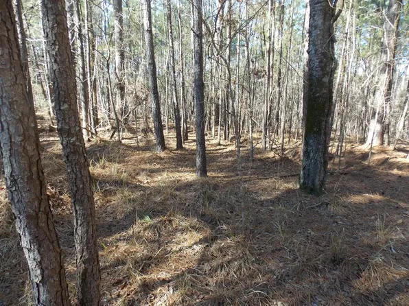 3 MATHEWS Lane, McCormick, SC 29835