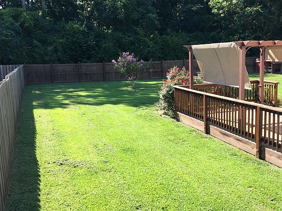Back yard