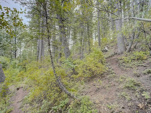 4th image of 460 Upper Evergreen Dr
