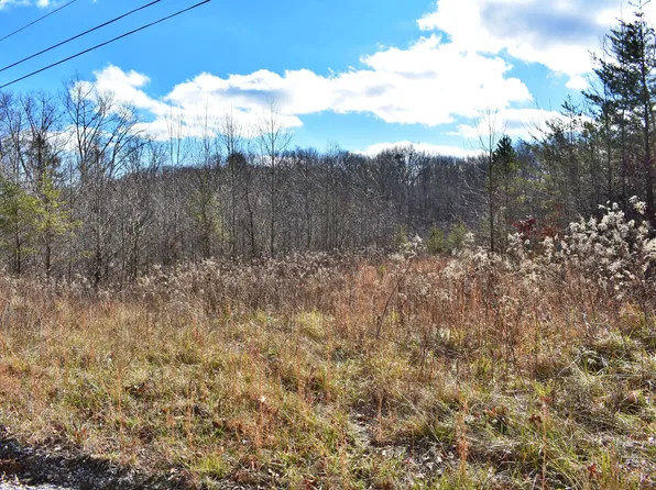 72 Oak Trl Lot 72, Spring City, TN 37381