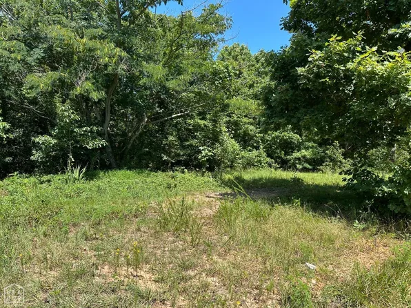 1 Bammy Dr, Harriet, AR 72639