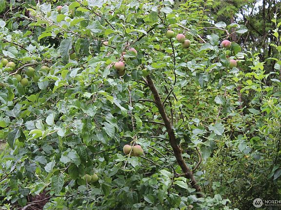 5th image of 9605 Prather Road SW