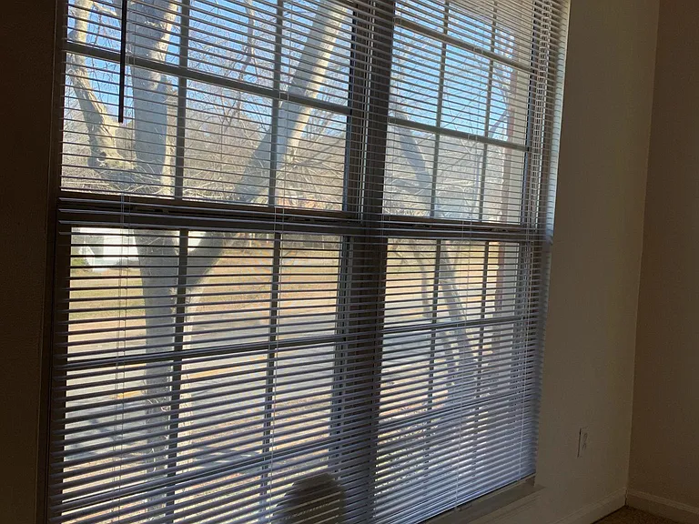 Large window in living room - quiet and tinted for privacy