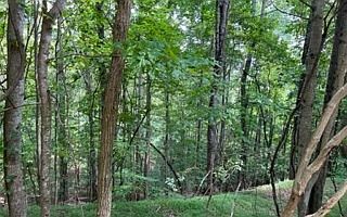 1st image of Eastview Dr Lot 85