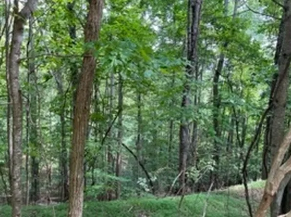 Eastview Dr Lot 85, Blairsville, GA 30512