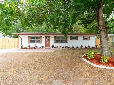 4203 Fawn Cir, Tampa, FL, 33610