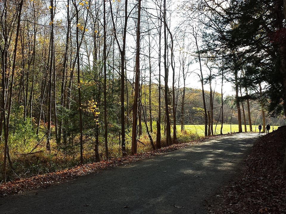 Neighboring field