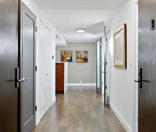 3rd image of 1212 N Lake Shore Dr APT 27AS