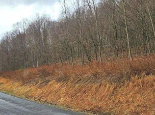 Route 1010 Roaring Branch Rd, Ralston, PA 17763